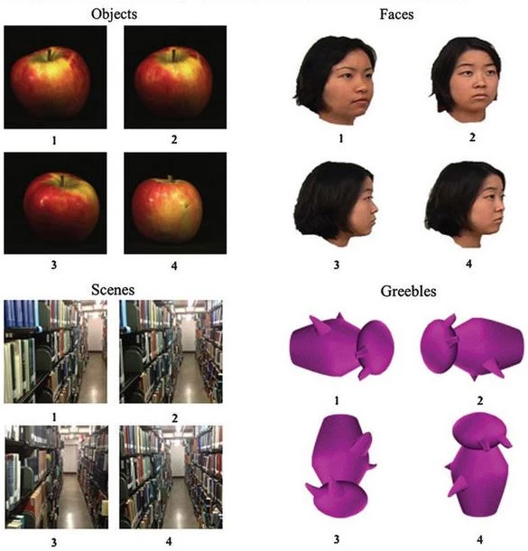Ένα ιδιαίτερο τεστ για Αλτσχάιμερ με τις οδηγίες τους – Είναι απλό και βασίζεται σε εικόνες